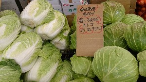 20131109 -T̔ł-_2
