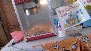 20131109 -T̔ł-_16