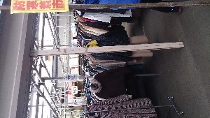 20131109 -T̔ł-_18