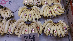 20131109 -T̔ł-_30