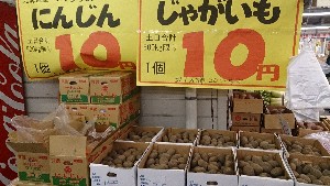 20131109 -T̔ł-_36