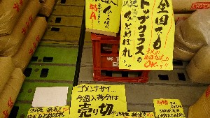 20131110 - 񂯂  -_2