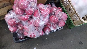 20131116 - T̔ł -_6