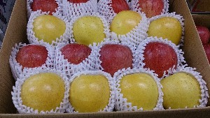 20131116 - T̔ł -_25