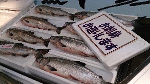 20131116 - T̔ł -_34