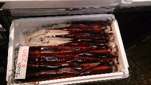 20131116 - T̔ł -_35