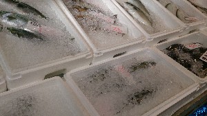 20131116 - T̔ł -_36