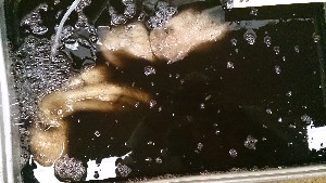 20131116 - T̔ł -_42