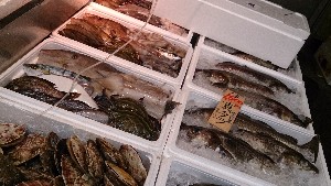 20131116 - T̔ł -_43