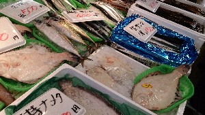 20131116 - T̔ł -_46