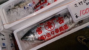 20131116 - T̔ł -_48
