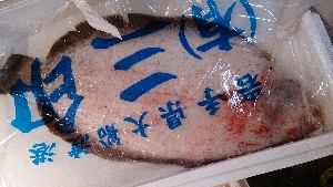 20131123 -T̔ł -@_57