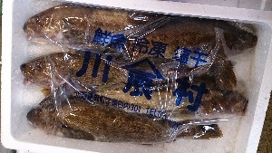 20131123 -T̔ł -@_58