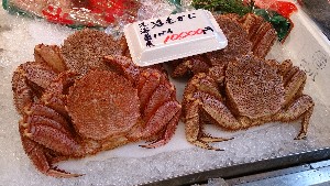 20131123 -T̔ł -@_60