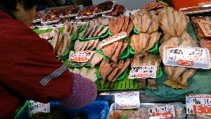 - 20131130@-T̔ł@ -@_46