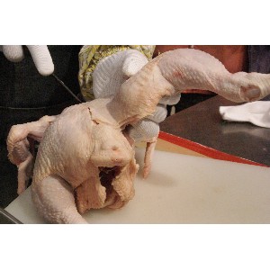 DSC00011(1).jpg