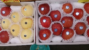 DSC_2410.jpg