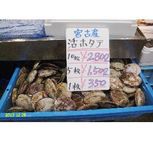 DSC00026(1).jpg