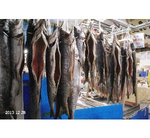 DSC00037(1).jpg