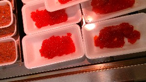 20140111 -T̔ł-_21