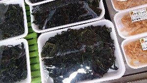 20140111 -T̔ł-_22