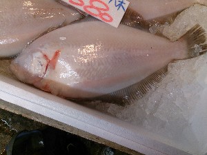 20140118 -T̔ł@-_14