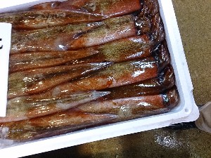 20140118 -T̔ł@-_25