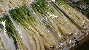 20140208 -T̔ł-_12