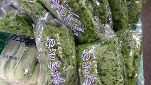 20140208 -T̔ł-_19