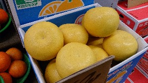20140208 -T̔ł-_21