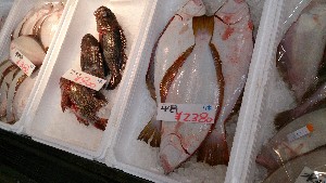 20140208 -T̔ł-_26