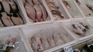 20140208 -T̔ł-_27