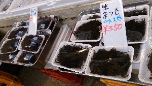 20140208 -T̔ł-_28
