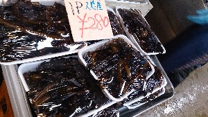 20140208 -T̔ł-_29