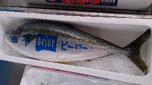 20140222 - T̔ł -_27