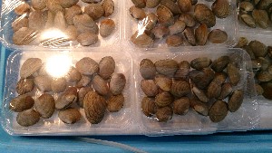20140222 - T̔ł -_28