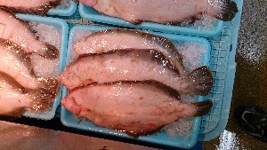 20140222 - T̔ł -_32