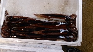 20140222 - T̔ł -_34