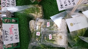 20140315 -@T̔ꕔł -_4