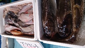 20140322 |T̔ł|_25