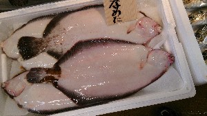 20140405 |T̔ł|_32