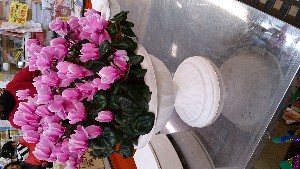 20140412 T̔łB_1