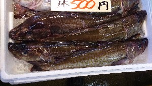 20140412 T̔łB_29