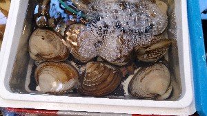 20140412 T̔łB_30