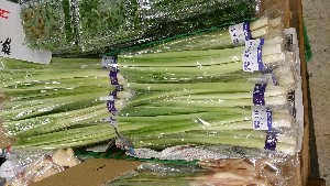 20140503 -T̔ł-_8