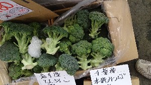 20140510 - T̔ł -_15