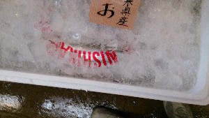 20140510 - T̔ł -_26