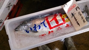 20140510 - T̔ł -_30