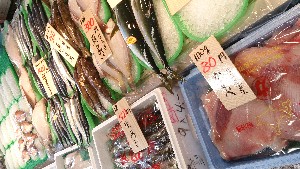 20140517 - T̔ł -_17