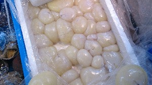 20140517 - T̔ł -_22